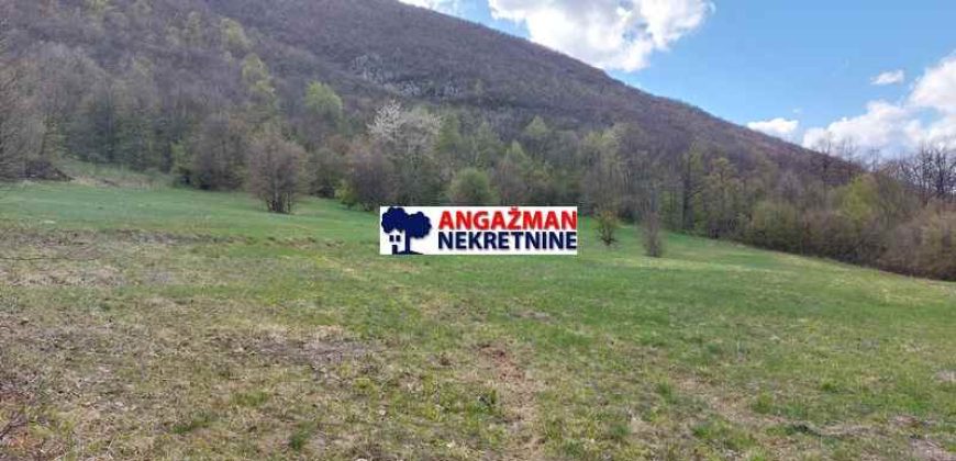 Boljevac, Rtanj – Mirovo 1ha 36a 66kvm