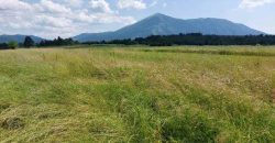 Boljevac, Rtanj – Mali izvor 40,30ari