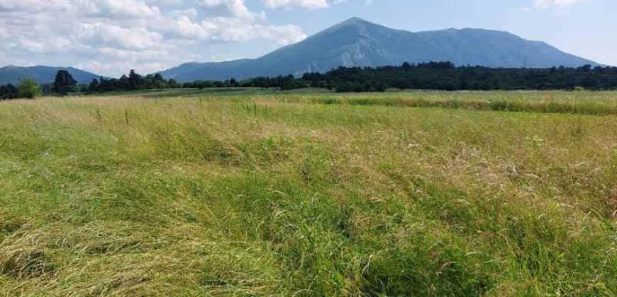 Boljevac, Rtanj – Mali izvor 40,30ari