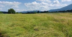 Boljevac, Rtanj – Mali izvor 40,30ari