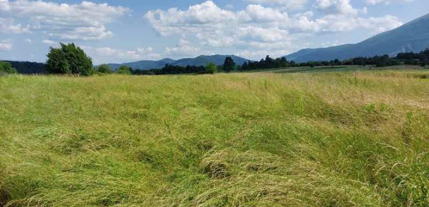 Boljevac, Rtanj – Mali izvor 40,30ari