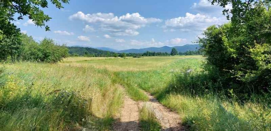 Boljevac, Rtanj – Mali izvor 40,30ari