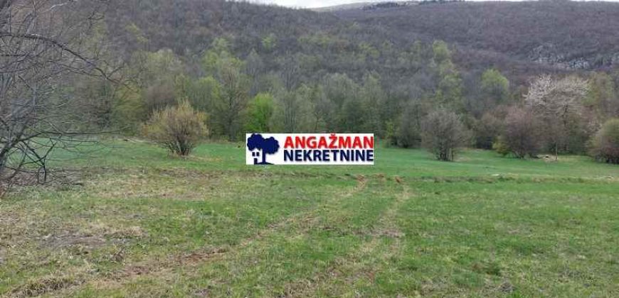 Boljevac, Rtanj – Mirovo 1ha 36a 66kvm