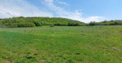 Zaječar – Gornja bela reka 3ha 23a 86kvm