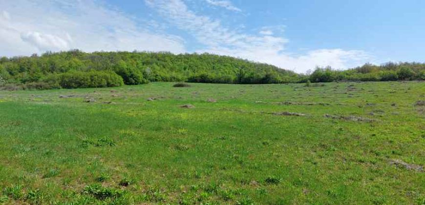 Zaječar – Gornja bela reka 3ha 23a 86kvm