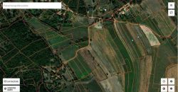 Boljevac, Rtanj – Mali izvor 40,30ari