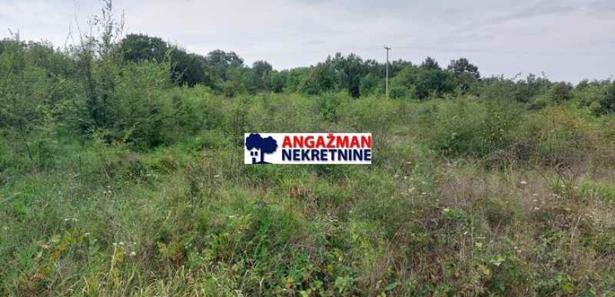 Boljevac, Rtanj – Mali izvor 84a 86kvm