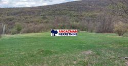 Boljevac, Rtanj – Mirovo 1ha 36a 66kvm