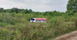 Boljevac, Rtanj – Mali izvor 84a 86kvm