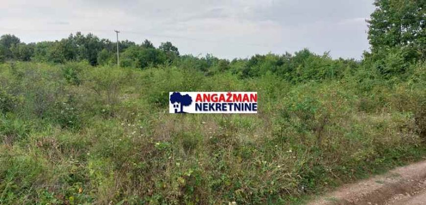 Boljevac, Rtanj – Mali izvor 84a 86kvm