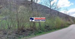 Boljevac, Rtanj – Mirovo 1ha 36a 66kvm