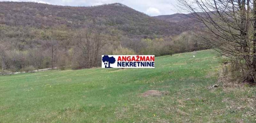 Boljevac, Rtanj – Mirovo 1ha 36a 66kvm