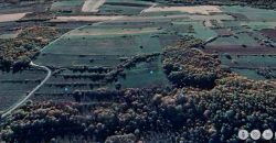 Boljevac, Rtanj – Vrbovac 4ha 42a 44kvm + 92kvm