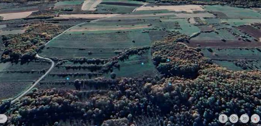 Boljevac, Rtanj – Vrbovac 4ha 42a 44kvm + 92kvm