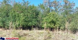 Rtanj-Ilino 44a 10kvm