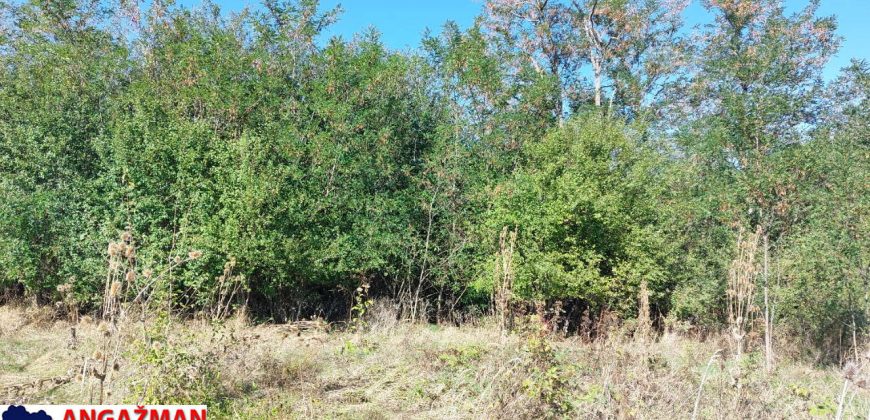 Rtanj-Ilino 44a 10kvm