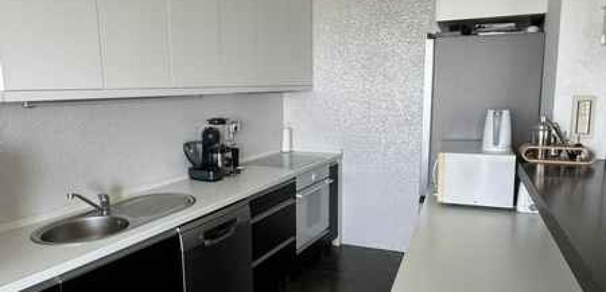 Skojevsko naselje – lux 270kvm (138+30+100)