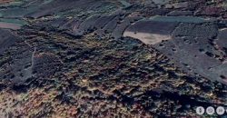 Zaječar – Lasovo 5ha 46a 76kvm