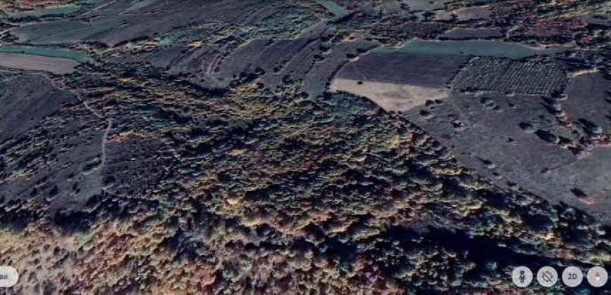 Zaječar – Lasovo 5ha 46a 76kvm