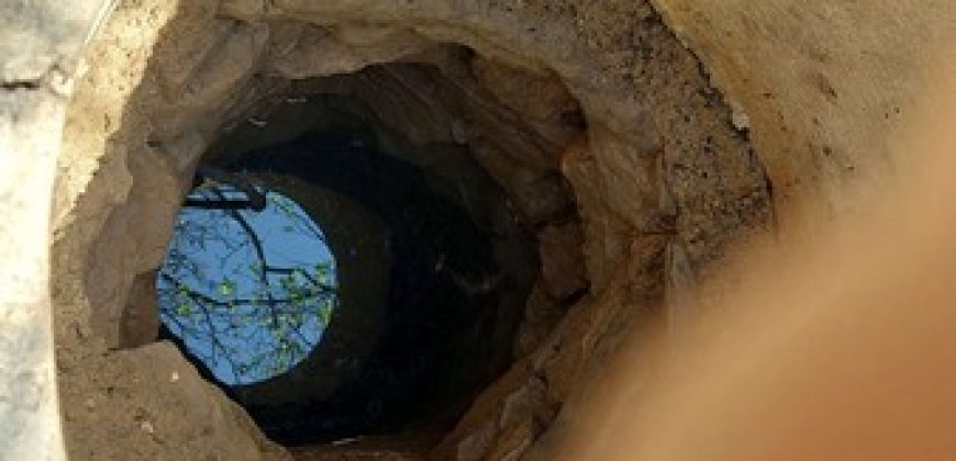 Zaječar – Gornja bela reka 31kvm-1ha 44a 11kvm