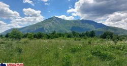 Boljevac, Rtanj – Mirovo 2ha 70ari 67kvm