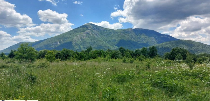 Boljevac, Rtanj – Mirovo 2ha 70ari 67kvm