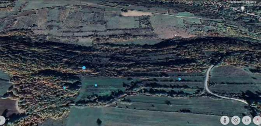 Boljevac, Rtanj – Vrbovac 4ha 42a 44kvm + 92kvm