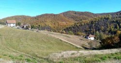 Boljevac, Rtanj – Dobro polje 3ha 69a 06kvm