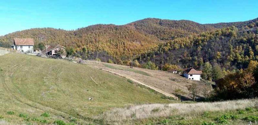 Boljevac, Rtanj – Dobro polje 3ha 69a 06kvm