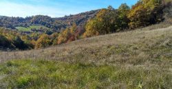 Boljevac, Rtanj – Dobro polje 3ha 69a 06kvm