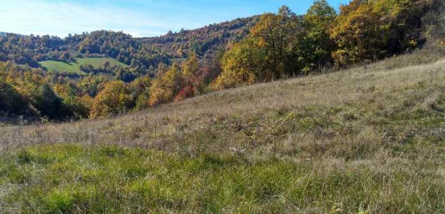 Boljevac, Rtanj – Dobro polje 3ha 69a 06kvm