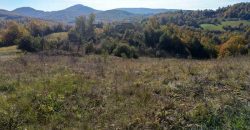 Boljevac, Rtanj – Dobro polje 3ha 69a 06kvm