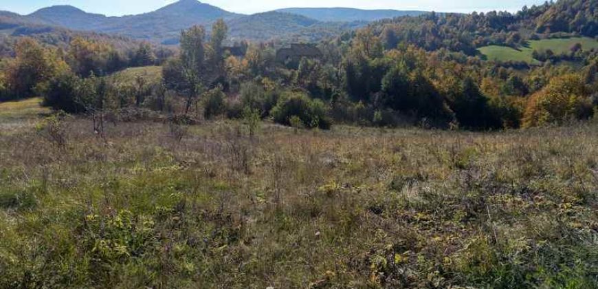 Boljevac, Rtanj – Dobro polje 3ha 69a 06kvm