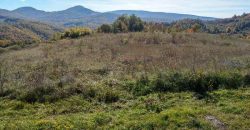 Boljevac, Rtanj – Dobro polje 3ha 69a 06kvm