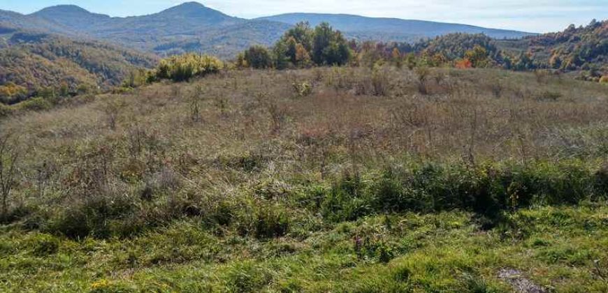 Boljevac, Rtanj – Dobro polje 3ha 69a 06kvm