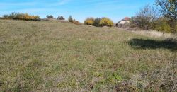 Boljevac, Rtanj – Dobro polje 3ha 69a 06kvm