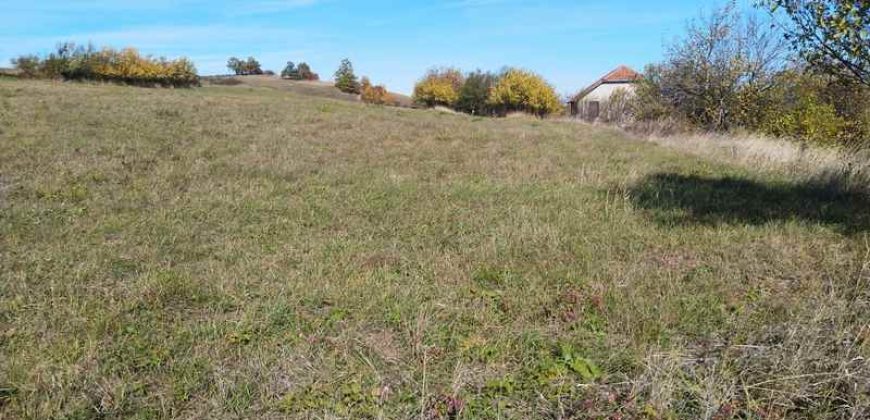 Boljevac, Rtanj – Dobro polje 3ha 69a 06kvm