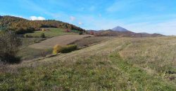 Boljevac, Rtanj – Dobro polje 3ha 69a 06kvm