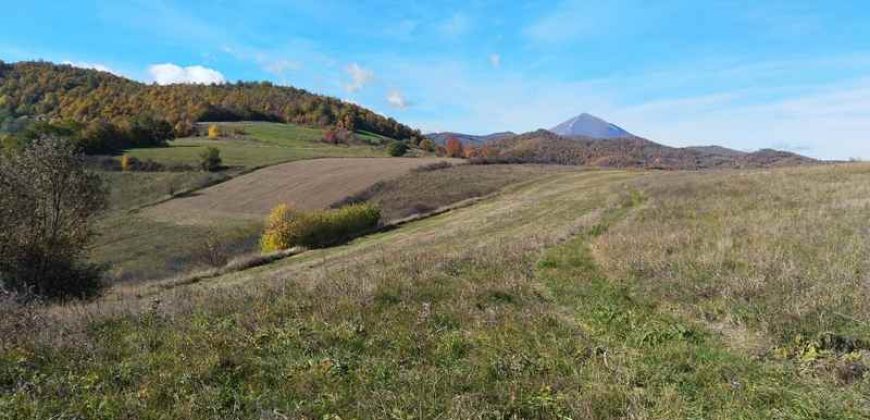 Boljevac, Rtanj – Dobro polje 3ha 69a 06kvm