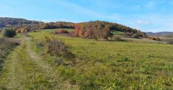 Boljevac, Rtanj – Dobro polje 3ha 69a 06kvm