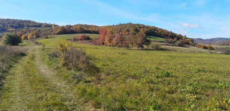 Boljevac, Rtanj – Dobro polje 3ha 69a 06kvm