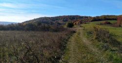 Boljevac, Rtanj – Dobro polje 3ha 69a 06kvm