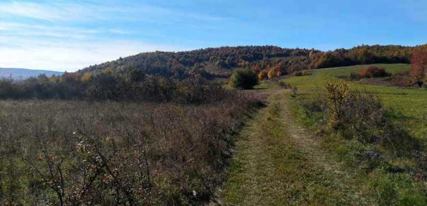Boljevac, Rtanj – Dobro polje 3ha 69a 06kvm
