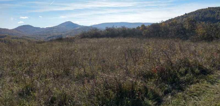 Boljevac, Rtanj – Dobro polje 3ha 69a 06kvm