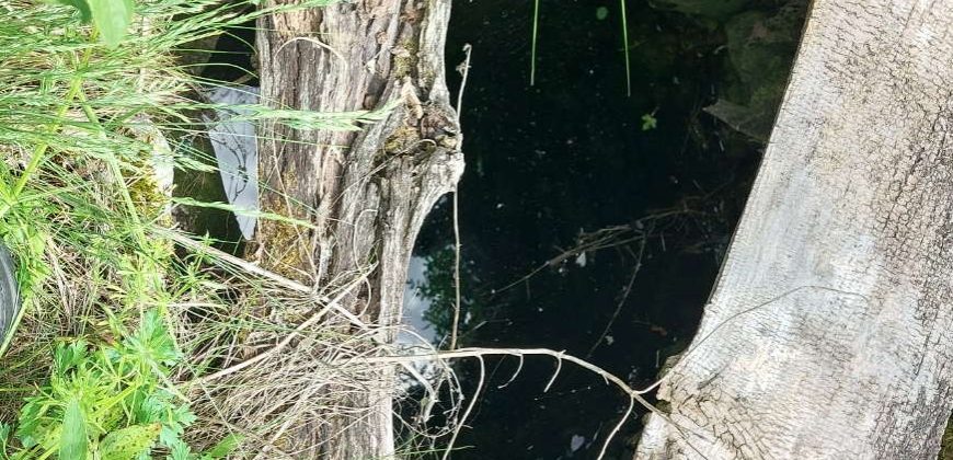 Boljevac, Rtanj – Mirovo 2ha 70ari 67kvm