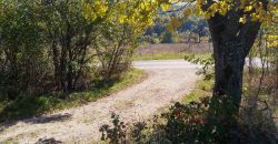 Rtanj-Bačevica 2ha 58a 94kvm