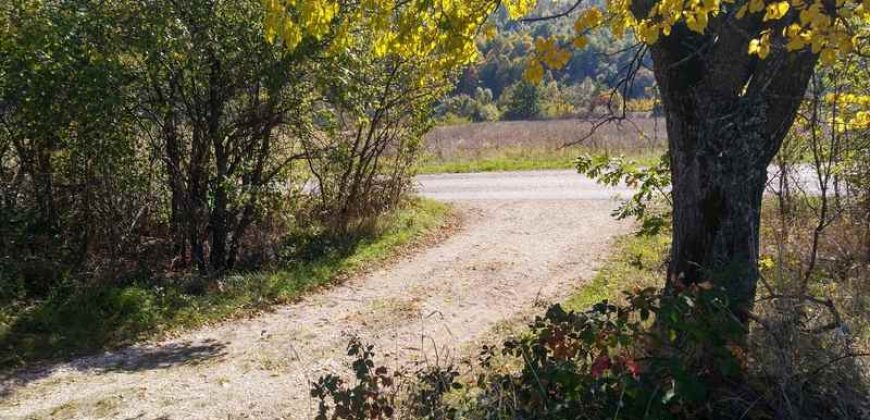 Rtanj-Bačevica 2ha 58a 94kvm