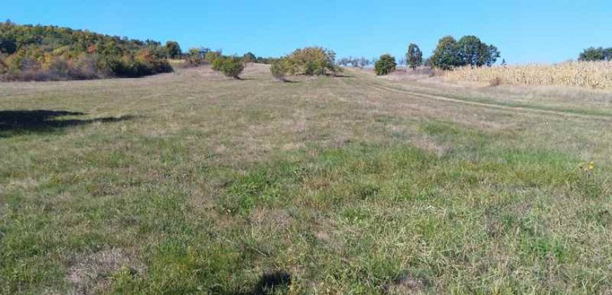 Rtanj-Bačevica 2ha 58a 94kvm