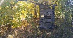 Rtanj-Bačevica 2ha 58a 94kvm