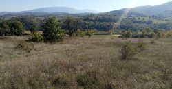 Rtanj-Bačevica 2ha 58a 94kvm